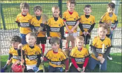  ?? ?? U7 HURLING: Back l-r: Rob O’Brien, Fred Leahy, Conor Moore, Oscar Lyons, James Barry and Balint Molnar. Front l-r: Daniel Whelan, Darragh Bennett, Darragh Lenihan, Joseph Moloney and Sean Coleman.