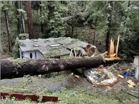  ?? ?? A massive fir tree on Tuesday sheared off a bedroom of Don Saputo and Dani Piserchio's house off of Bear Creek Road in Boulder Creek.