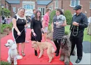  ?? Kristina Wilder / Rome News-Tribune ?? Kellie Taylor (from left) with Lily, Hailee Brand with Diva, Mattie Taylor with Gizmo and Matt Taylor with Lorde pose for pictures outside Darlington’s prom. The Taylors own Precious Paws Spa & Hotel in Rockmart and were asked to provide some French...