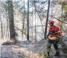  ??  ?? O bombeiro Ricardo Pedro na serra de Espinhal, onde hectares de vegetação não passavam ontem de resíduos negros