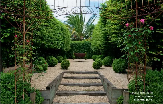  ??  ?? Buxus balls appear to roll freely over the cream gravel.