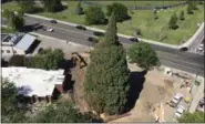  ?? REBECCA BOONE — ASSOCIATED PRESS ?? The sequoia and the people working to move it are seen from above on Thursday.