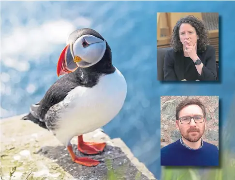  ??  ?? CONCERNS: Puffins are among the species affected by sand eel fishing. Inset: Mairi Gougeon and Alex Kinninmont­h.