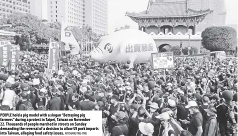  ?? Ap/chiang Ying-ying ?? People hold a pig model with a slogan “Betraying pig farmers” during a protest in Taipei, Taiwan on November 22. Thousands of people marched in streets on Sunday demanding the reversal of a decision to allow US pork imports into Taiwan, alleging food safety issues.