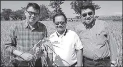  ??  ?? PA Joey Concepcion with Agricultur­e Secretary Manny Piñol and Henry Lim Bon Liong of SL Agritech during the harvest festival in Talavera, Nueva Ecija.