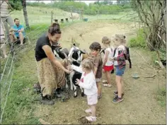  ??  ?? Julie nourrit les chèvres avec les enfants