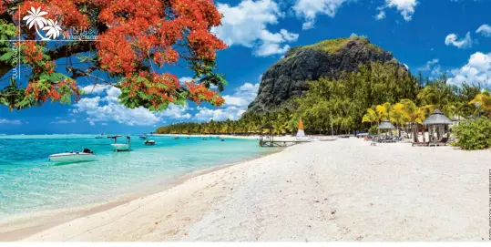  ??  ?? Acima, Le Morne, uma península na parte sudoeste da ilha Maurício. À dir., alga exposta na praia e as sete terras coloridas de Chamarel, um fenômeno natural que é uma das principais atrações do arquipélag­o. E, abaixo, o belo nascer do sol no Belle Mare.