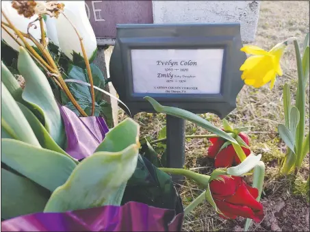  ??  ?? Phil Jeffries, retired funeral director and deputy coroner for Carbon County, Pa., placed a marker behind the flowers on Beth Doe and her baby’s grave with their true identities, Evelyn and Emily Grace Colon, after more than four decades, in Laurytown Road Cemetery in Lehigh Township, Pa.