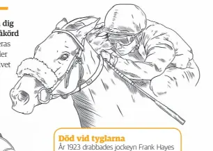  ??  ?? Död vid tyglarnaÅr 1923 drabbades jockeyn Frank Hayes av en hjärtattac­k halvvägs genom en tävling och dog, men hans kropp förblev fäst vid sadeln. Hans häst kom etta och gjorde honom till den enda jockeyn som vunnit en tävling efter döden.