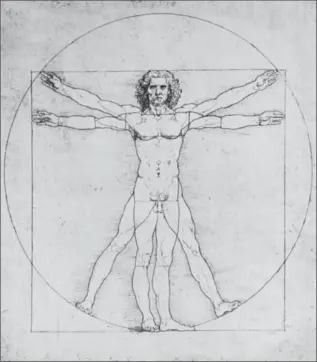  ?? , DREAMSTIME ?? "The Vitruvian Man" by Leonardo da Vinci, who had intense interests in science, engineerin­g, architectu­re and pageantry.