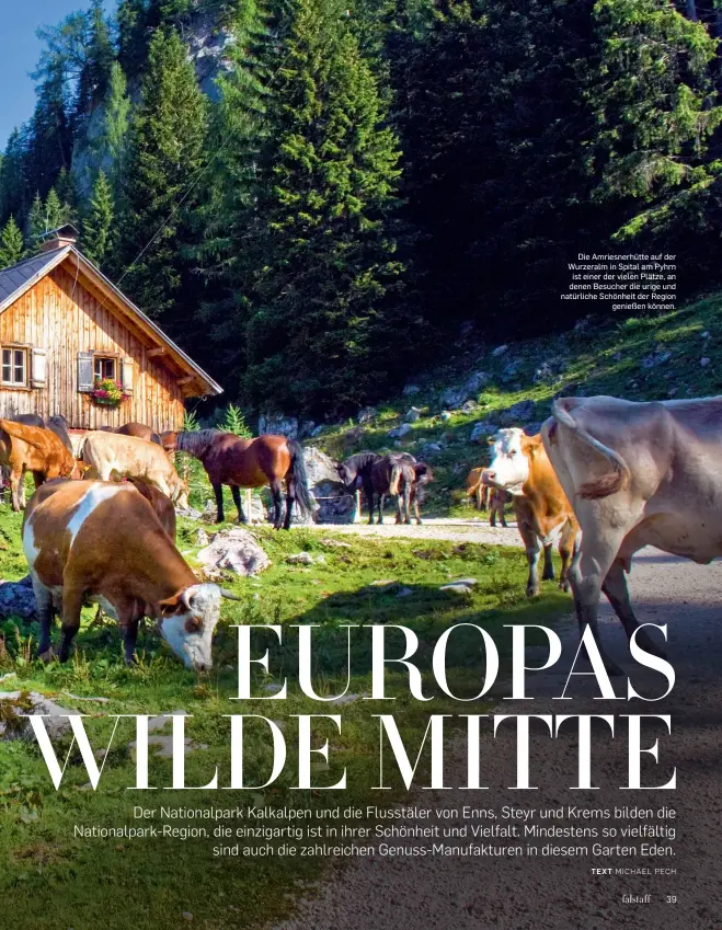  ??  ?? Die Amriesnerh­ütte auf der Wurzeralm in Spital am Pyhrn ist einer der vielen Plätze, an denen Besucher die urige und natürliche Schönheit der Region genießen können.