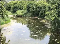  ?? Bud Kennedy/ Star-Telegram via AP ?? left
Trees are reflected in Walnut Creek in Parker County near Reno, Texas.