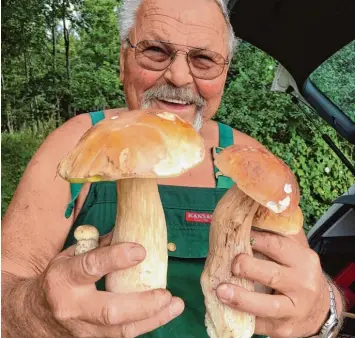  ?? Foto: Andrea Zick ?? Das sind Prachtexem­plare: Adolf Mutterer freut sich über seine Ausbeute beim Pilzsuchen in Bonstetten.