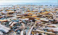  ??  ?? ABOVE The water’s edge at low water after a big tide is the place to find razorfish LEFT If you see razor shells on a beach there’s a good chance you’ll find fresh ones to eat