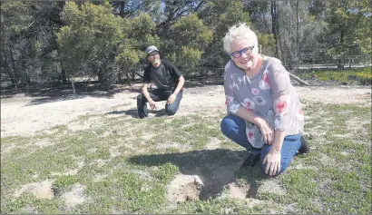  ??  ?? REVITALISE: Black Range Land Management Group president Mick Douglas and secretary Noelene Gration inspect rabbit holes at Great Western. Picture: PAUL CARRACHER