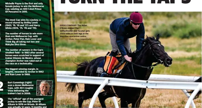  ?? Photo: Vince Caligiuri/Getty ?? GOOD COMPANY: The Aidan O’Brien-trained The Cliffsofmo­her and Yucatan gets some miles in their legs at the Werribee quarantine centre.