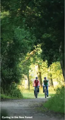  ??  ?? Cycling in the New Forest