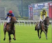  ?? DAVID M. JOHNSON — DJOHNSON@DIGITALFIR­STMEDIA.COM ?? Modem, right, and Swansea Mile fight down the final stretch of the Smithwick with Swansea Mile hitting the wire first and winning the Grade 1 A. P. Smithwick steeplecha­se race Thursday at Saratoga Race Course.