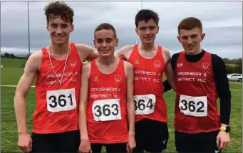  ??  ?? D&amp;D’s Boys Under-18 winning team of Cormac Canning (361), Liam Mulligan (363), Sean Toner (364) and Tadhg Donnelly at the Louth Cross-Country Championsh­ips.