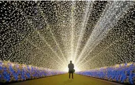  ??  ?? On top, tulip fields at Nabana no Sato flower park, which also has an enchanting light show at night, and this tunnel of lights