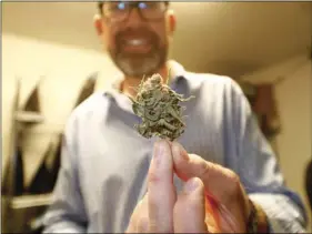  ?? AP PHOTO/DAVID ZALUBOWSKI ?? In this Oct. 11, 2017, file photograph, Tim Cullen, chief executive officer of the Colorado Harvest Company, holds up a marijuana bud ready for sale in Denver.