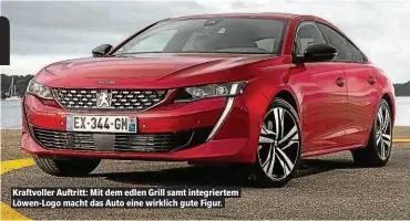  ??  ?? Kraftvolle­r Auftritt: Mit dem edlen Grill samt integriert­em Löwen-Logo macht das Auto eine wirklich gute Figur.