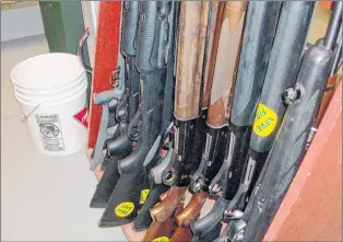  ?? SUBMITTED PHOTO ?? Guns at a wildlife division storage facility in the province.