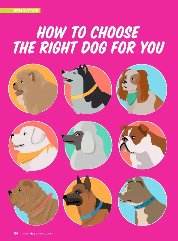 How To Choose the Right Dog For You PressReader