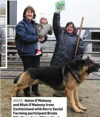  ?? ABOVE: ?? Helen O’Mahony and Miah O’Mahony from Castleisla­nd with Kerry Social Farming participan­t Breda O’Sullivan from Killorglin at work with Toby the farm dog .
