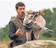  ??  ?? Eine von Bornholms zahlreiche­n Attraktion­en ist die Greifvogel-Show mit Weißkopfse­eadler, Gänsegeier, Falke und Co.