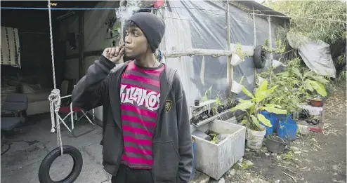  ?? MATILDE CAMPODONIC­O / THE ASSOCIATED PRESS ?? A member of the Manga Rosa Social Club smokes a joint in the garden where marijuana plants are cultivated in Montevideo, Uruguay, in 2015.