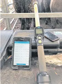  ??  ?? Beef farmer Alistair Kingan says he has benefited from using EID technology in his day-to-day business.