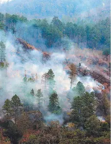  ?? FOTO: DAVID ROMERO ?? Se desconoce hasta el momento cuanta hectáreas de bosque han sido quemadas en la zona de El Carpintero y Limón.