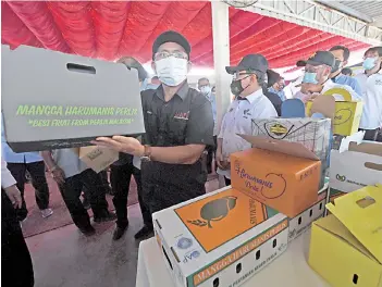  ?? – Bernama photo ?? Dr Ronald Kiandee showing the packaging box of Harumanis Perlis in conjunctio­n with the ‘Harumanis Kembali Lagi’ campaign at Bukit Temiang Agricultur­e complex in Perlis.