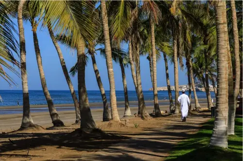  ??  ?? Muscat (Oman)
Raumbilden­d fungiert hier die Allee aus Palmen und zieht den Blick förmlich in das Bild hinein.