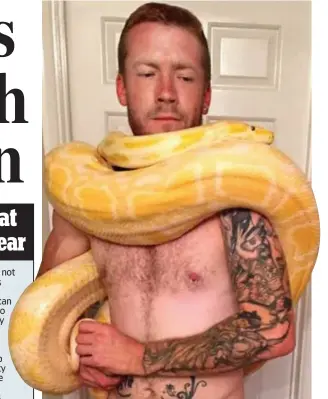  ??  ?? Danger: The python coiled itself tightly round Dan Brandon
