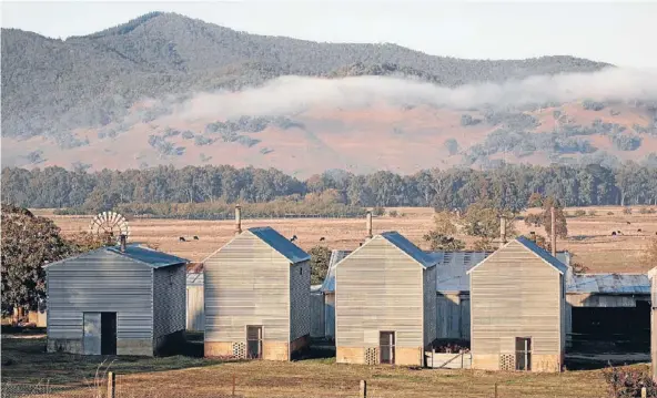  ??  ?? Big smoke: Old tobacco sheds in Myrtleford. Much of the old tobacco growing areas in the region now grow grapes.