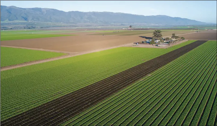  ?? SHUTTERSTO­CK ?? As storms have drenched California, landowners and water managers are capturing water and storing it undergroun­d.