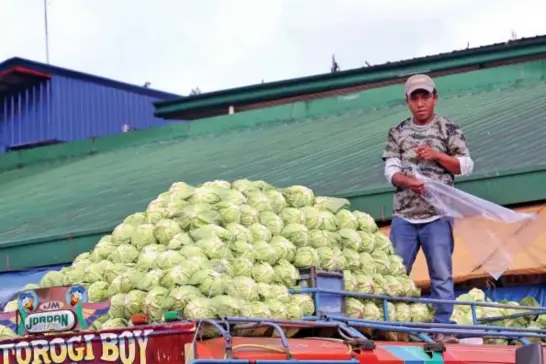  ?? Photo by Milo Brioso ?? ENOUGH SUPPLY. Vegetable trader packs cabbages atop of a jeep at the trading post in La Trinidad.