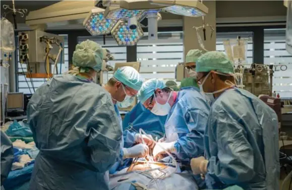  ?? FOTO CARLO COPPEJANS ?? Het team van het UZ Gent voert de eerste baarmoeder­transplant­atie in ons land uit.