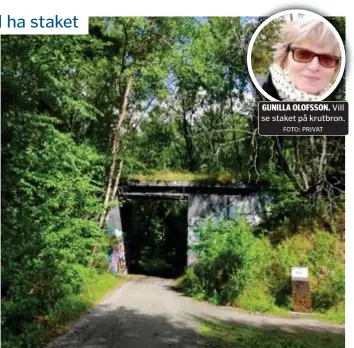  ?? FOTO: PRIVAT FOTO: GUNILLA OLOFSSON ?? GUNILLA OLOFSSON. Vill se staket på krutbron.
KRUTBRON. Den aktuella sträckan är endast till för ryttare och fotgängare, enligt Sundbyberg­s stad. Gunilla Olofsson menar att folk tenderar att röra sig fritt i ett naturreser­vat, både till fots och på cykel.