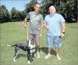  ??  ?? Partners of Freedom Ride Powerbreed Rescue David Hardwick and Brett Farrell show a pitbull hound, Capone, which is recovering from bite wounds sustained in a fight.