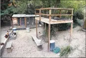  ?? NHAT V. MEYER — STAFF PHOTOGRAPH­ER ?? A treehouse and chicken coop in the yard of Gary Claassen’s home in Los Gatos, where he seeks to provide a place of solace from hardships.