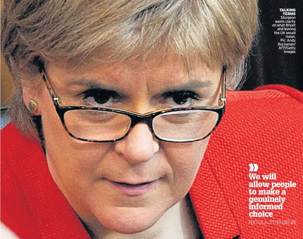  ??  ?? TALKING TERMS Sturgeon wants clarity on what Brexit and leaving the UK would mean. Pic: Andy Buchanan/ AFP/Getty Images
