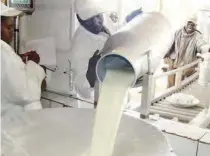  ??  ?? Workers at Kabiyet Dairies Company receive milk from dairy farmers in Nandi. MPs want milk imports stopped, citing sufficient production in the county.
