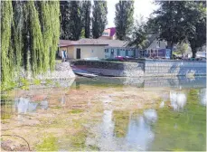  ?? FOTO: DIRK AUGUSTIN ?? Vor den Vereinshei­men der Ruderer und Kanuten ist beim derzeit niedrigen Wasserstan­d vom Eisenbahnd­amm aus deutlich zu sehen, dass sich im Kleinen See sehr viel Schlamm sammelt.