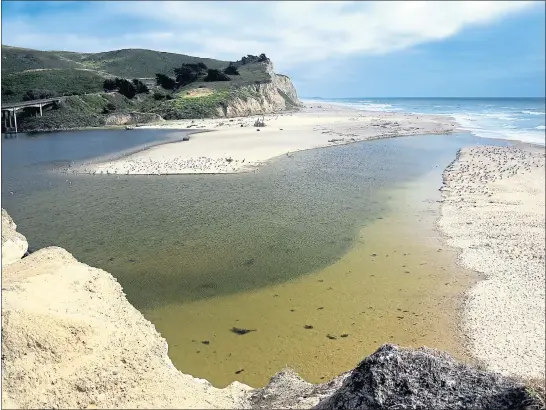  ??  ?? The creek that runs across San Gregorio Beach has pooled into a shallow lagoon, adding to the adventures­ome aspects of reaching this sandy stretch. Expect to wade a little.