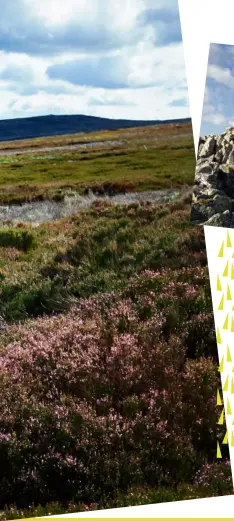  ??  ?? (Above) For Spinks, fell running is unbeatable; (top) summiting Esk Pike during her Double Bob