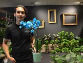  ?? FOTO KMA ?? Ramin Hassani heeft groene vingers, en nu ook een eigen bloemen- en plantenzaa­k.