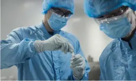  ?? Vaccine. Photograph: David Levene/The Guardian ?? Bio-technologi­sts at Oxford Biomedica conducting tests on a sample of the Oxford AstraZenec­a